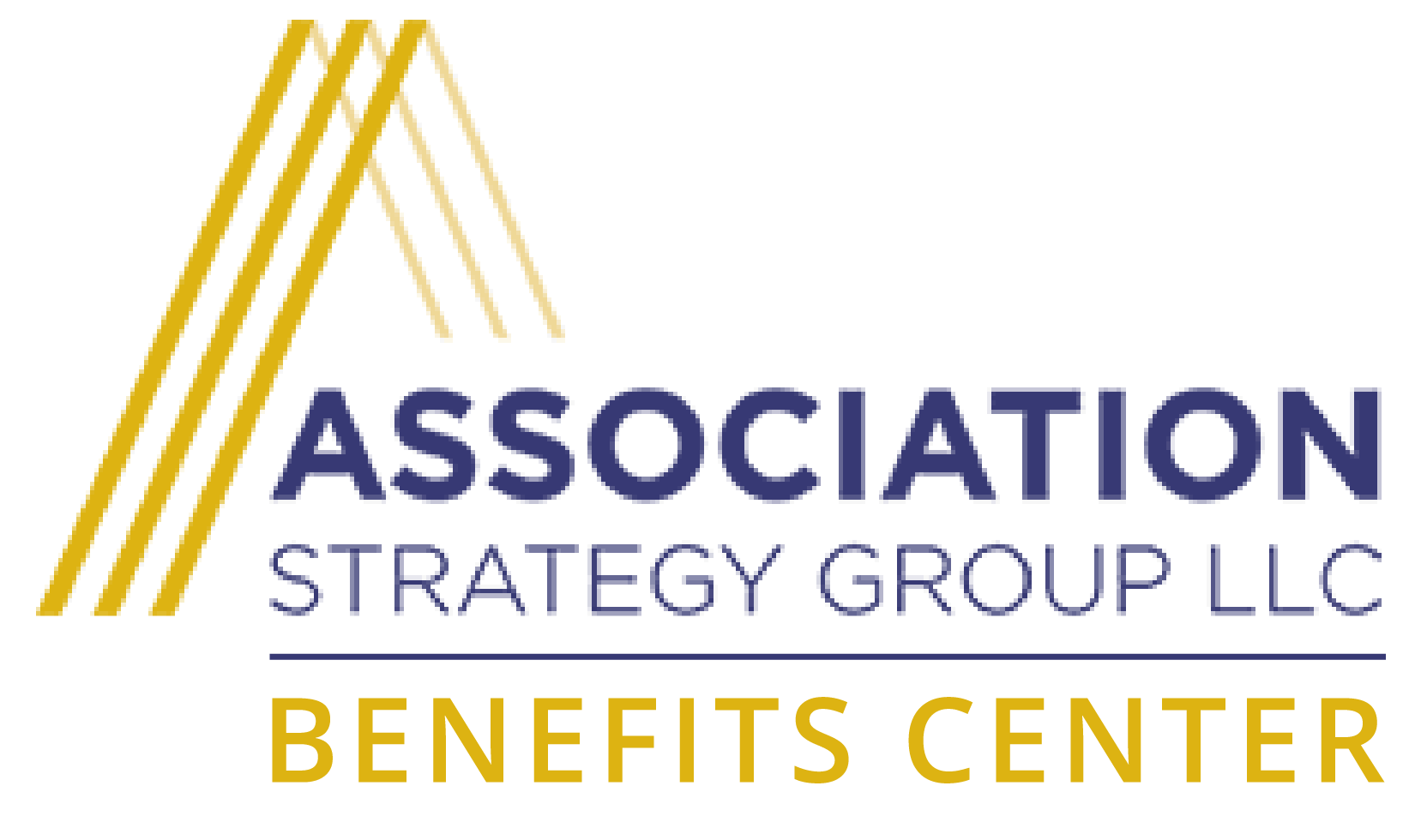 Association Strategy Group 